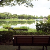 ベンチのある風景7