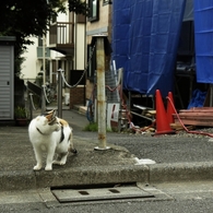 右向いて左向いて