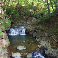 IMGP0211