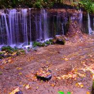 shiraito falls...
