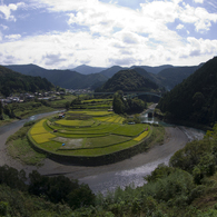 ライステラス　あらぎ島#2