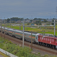 EF81-97