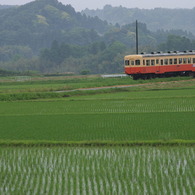 田園を走る