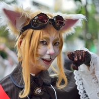 化け猫９