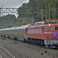 EF81-81