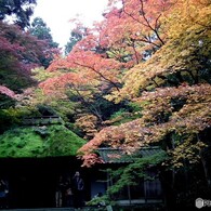 法然院 593
