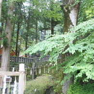 下諏訪神社3