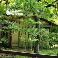 京都洛西散策06