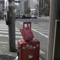 SEOUL STREET