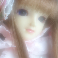 IMGP6351