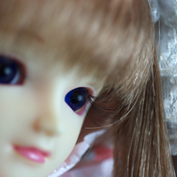 IMGP6344