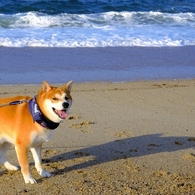 初の日本海