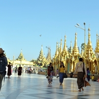 shwedagon pagoda