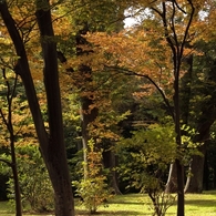 公園は秋模様