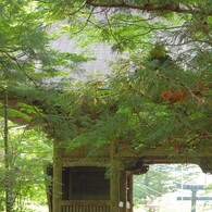 榛名神社入り口