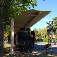C58239