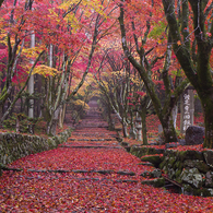 鶏足寺