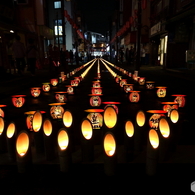 高幡不動・たかはたもみじ灯路