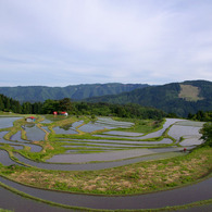 初夏の棚田