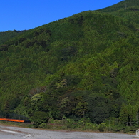 紅葉直前の大井川鐡道SLかわね路号②