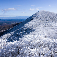 雪化粧