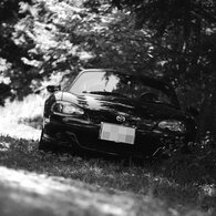 MONOCHROME