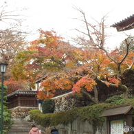 紅葉の能仁寺18