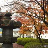 紅葉の能仁寺19