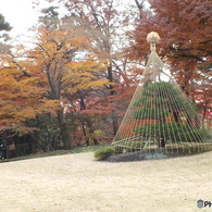 秋の殿ヶ谷戸庭園17