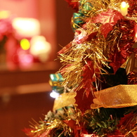 クリスマスツリー