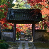 大本山永平寺御直末五鈷山光明寺