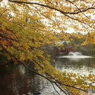 井の頭恩賜公園16