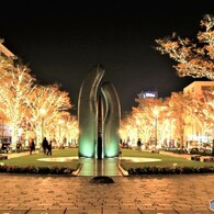 みなと大通り公園の夜景