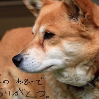 あれから半年・・沢山の思い出有難う