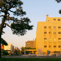 秋田地方裁判所