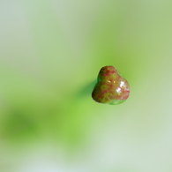 空中遊泳