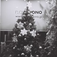 MaryChristmas