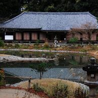 晩秋の浄瑠璃寺阿弥陀堂（国宝）　　DSC_5839