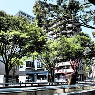 静岡2