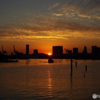 お台場海浜公園10