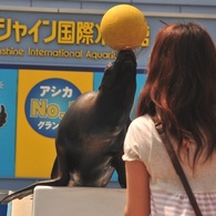 成功！