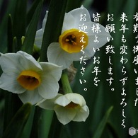 年末7