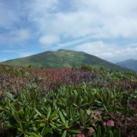 谷川連峰（平標山）