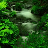 白糸の滝 軽井沢, Karuizawa Shira Ito no Taki