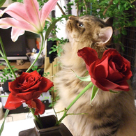 FukuChan_2010