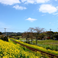 線路のある風景～ぽっかり雲と菜の花～