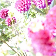 pink