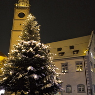 Baum und Turm