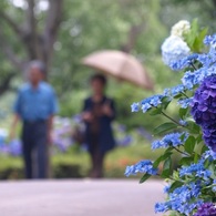 夫婦の距離感