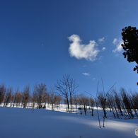 冬の青空